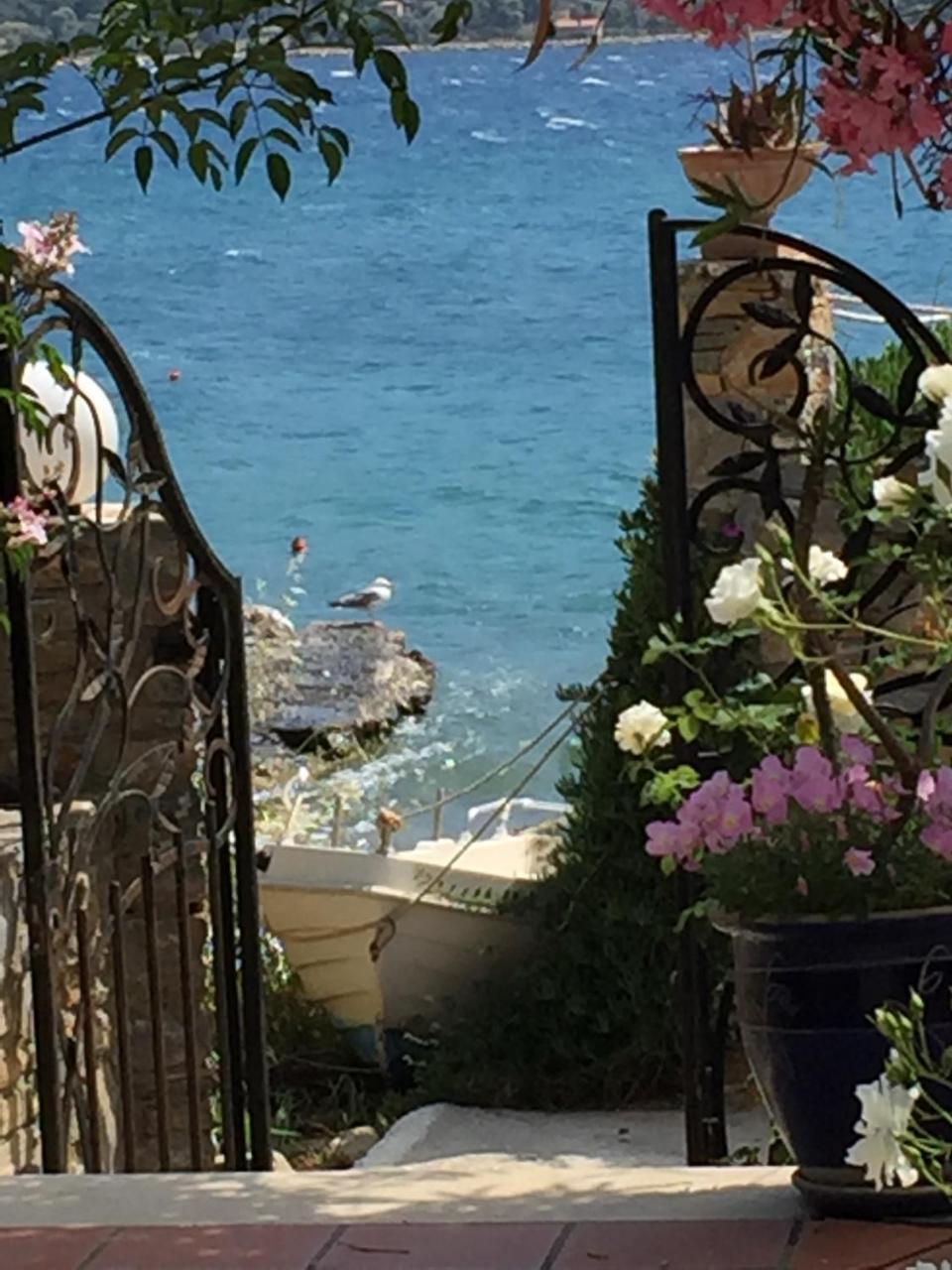 Roditses Beach Sea Front Apartments Samos Town Exterior foto