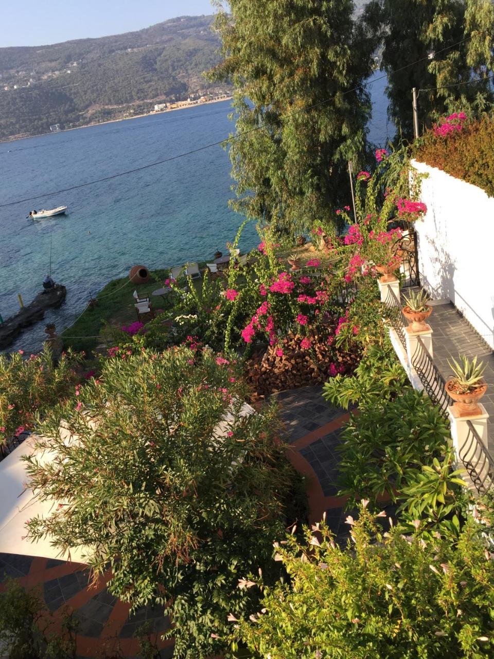 Roditses Beach Sea Front Apartments Samos Town Exterior foto